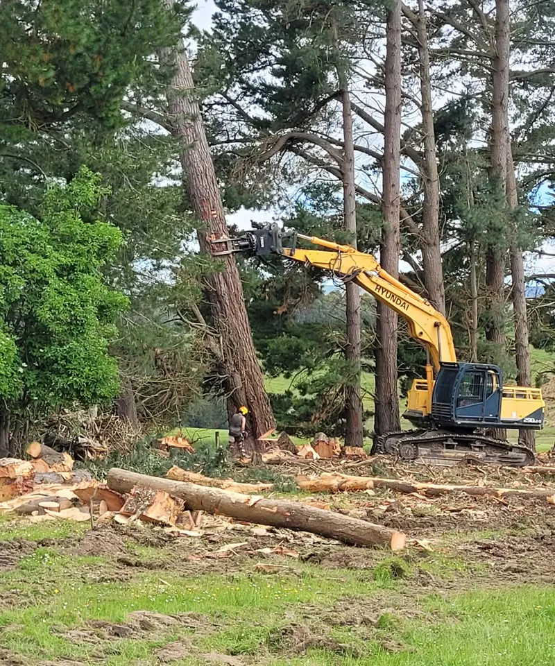 Worker in hi-viz felling a pine tree with an excavator on a Southland property