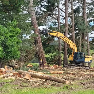 Worker in hi-viz felling a pine tree with an excavator
