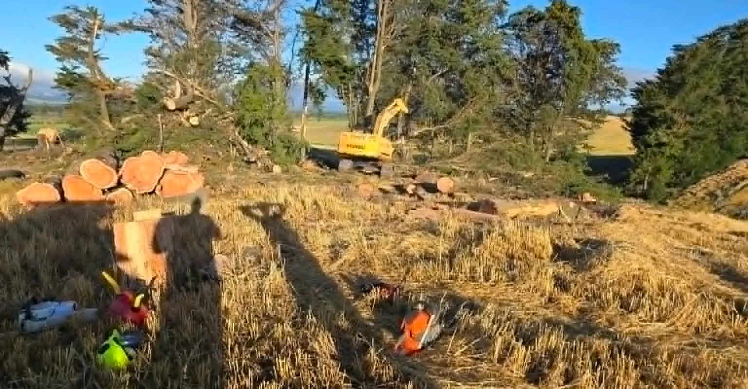 Excavator clearing logs from a rural property