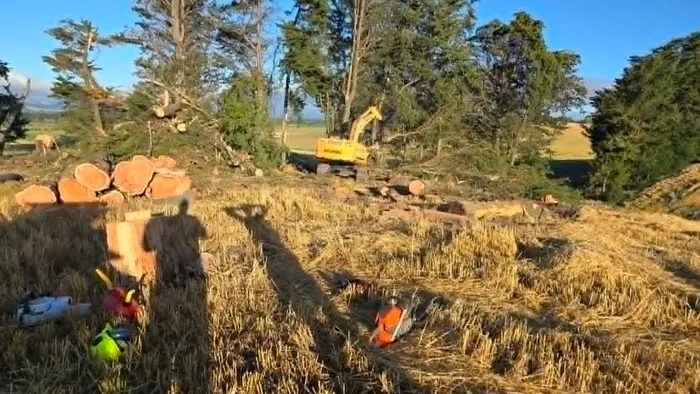 Excavator clearing logs from a rural property