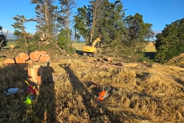 Excavator clearing logs from a rural property