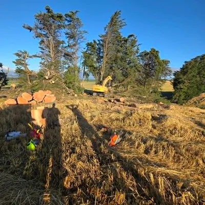 Excavator clearing logs from a rural property