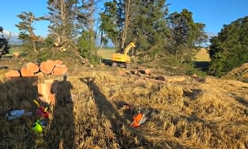 Excavator clearing logs from a rural property