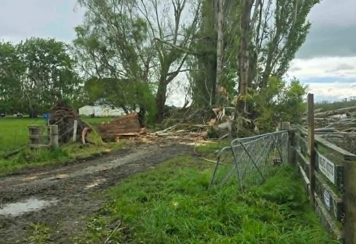 Storm damage cleanup job site photo