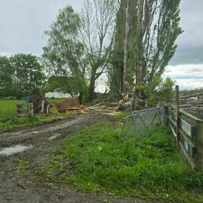 Fallen trees cleared from a farm gate