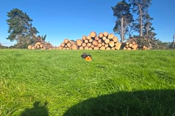 Log pile stacked in a green paddock