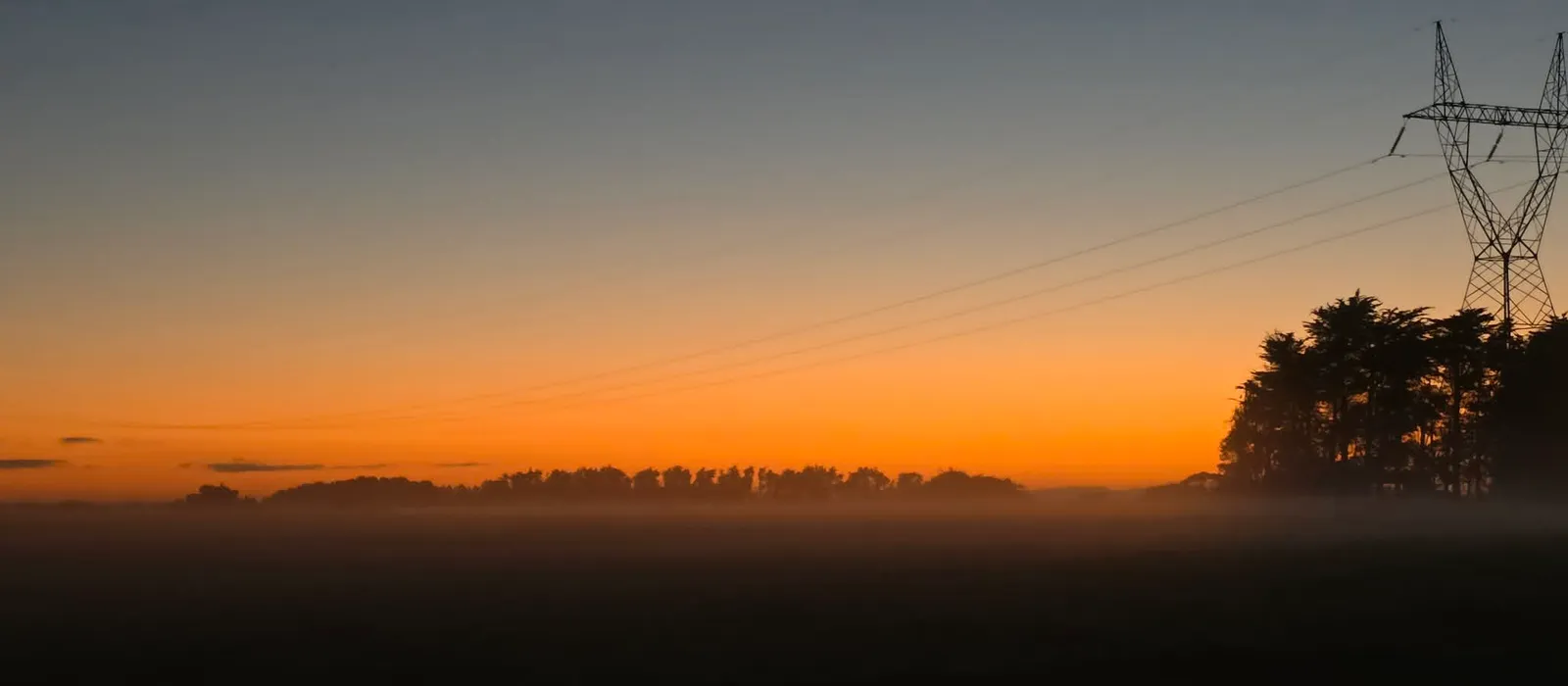 Misty sunrise over a Southland paddock with trees