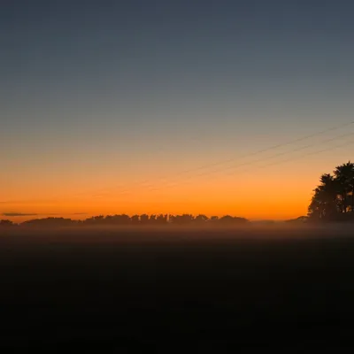 Misty sunrise over a Southland paddock with trees