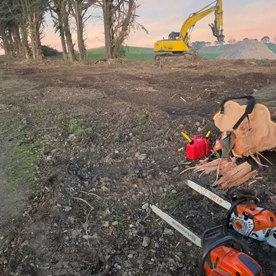 Shelterbelt clearing at dusk with excavator and chainsaws