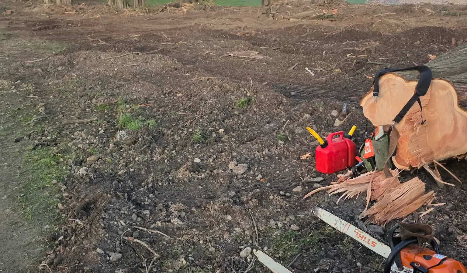 Shelterbelt clearing at dusk with excavator and chainsaws