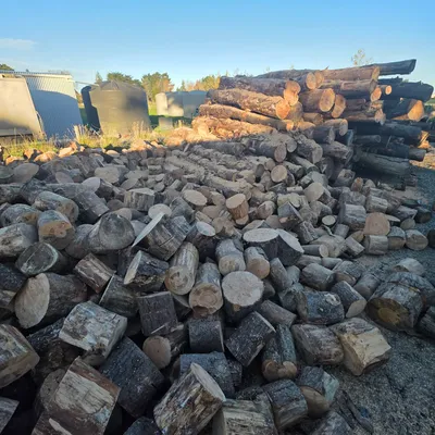 Split logs and stockpile in a yard after clearing