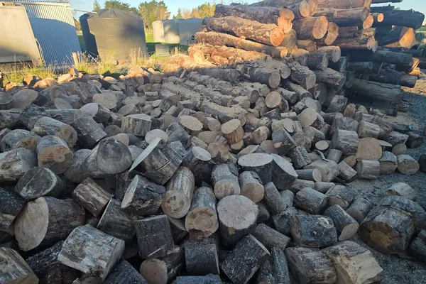 Split logs and stockpile in a yard after clearing