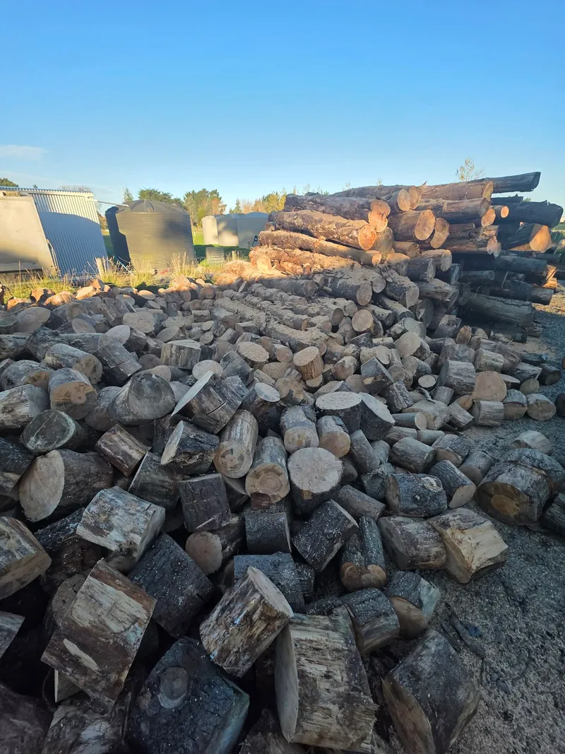 Split firewood and log stockpile in a yard