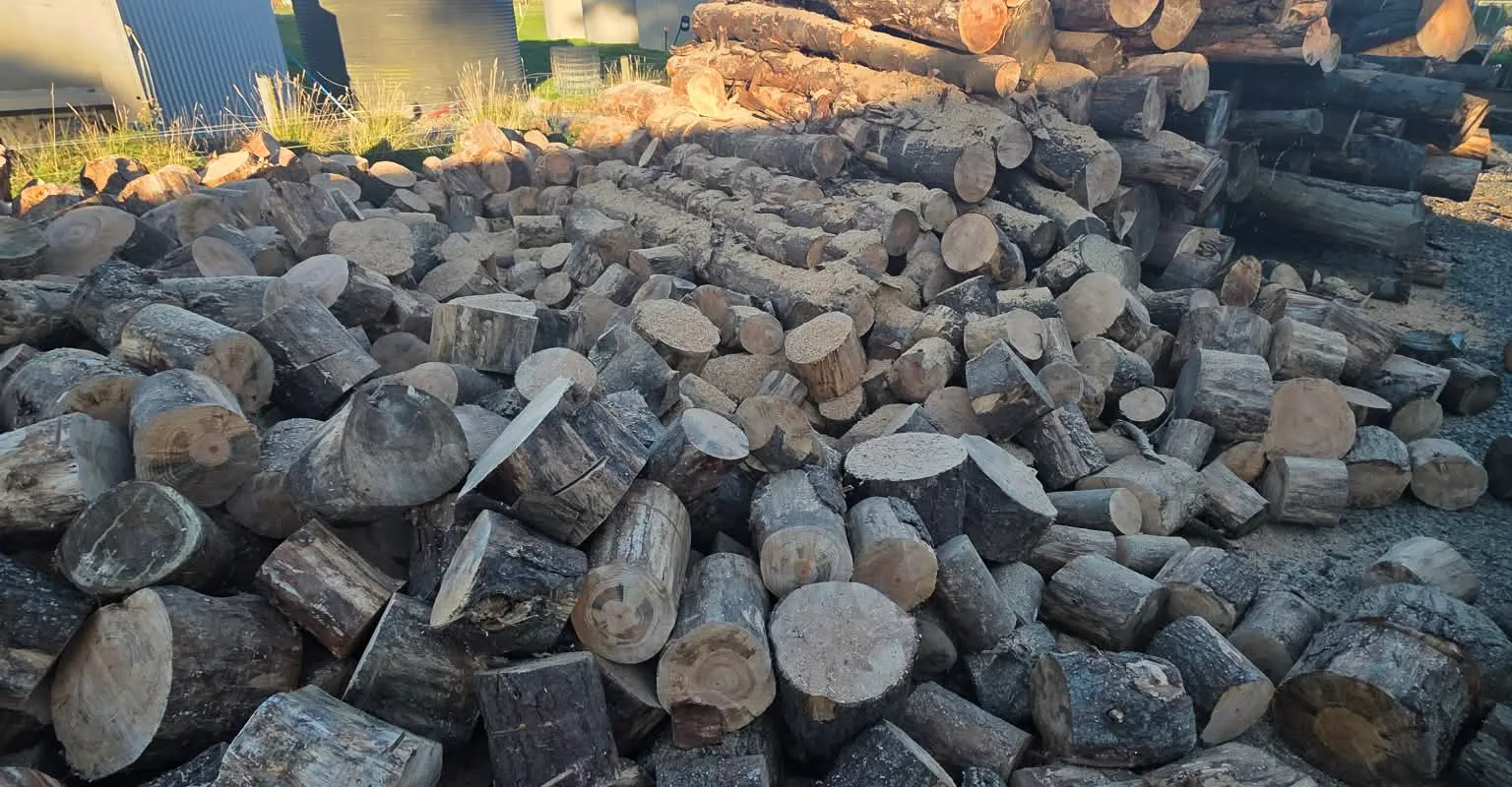 Split firewood and log stockpile in a yard