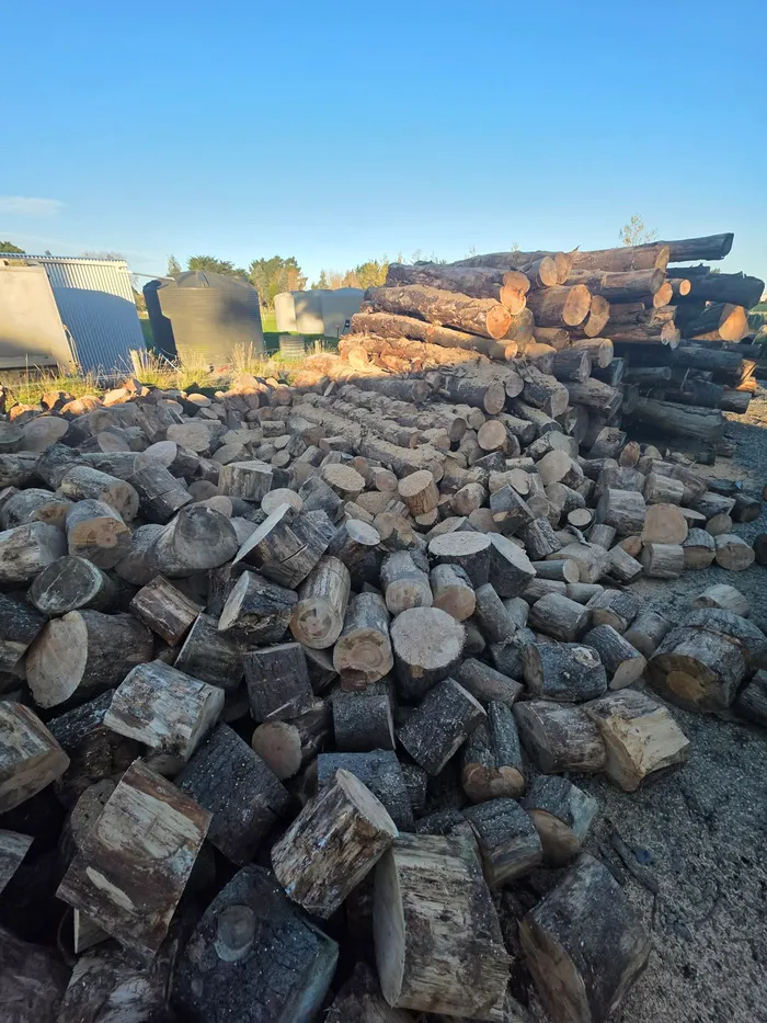 Split firewood and log stockpile in a yard