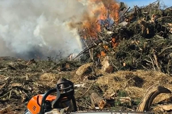 Stihl chainsaw beside a burn pile on a rural property