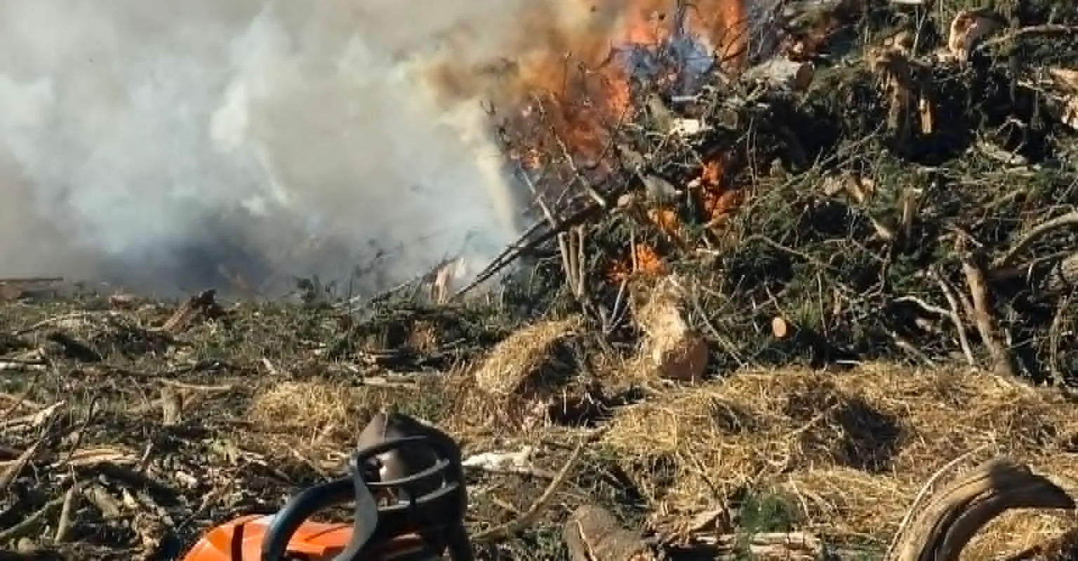 Stihl chainsaw beside a burn pile on a rural property