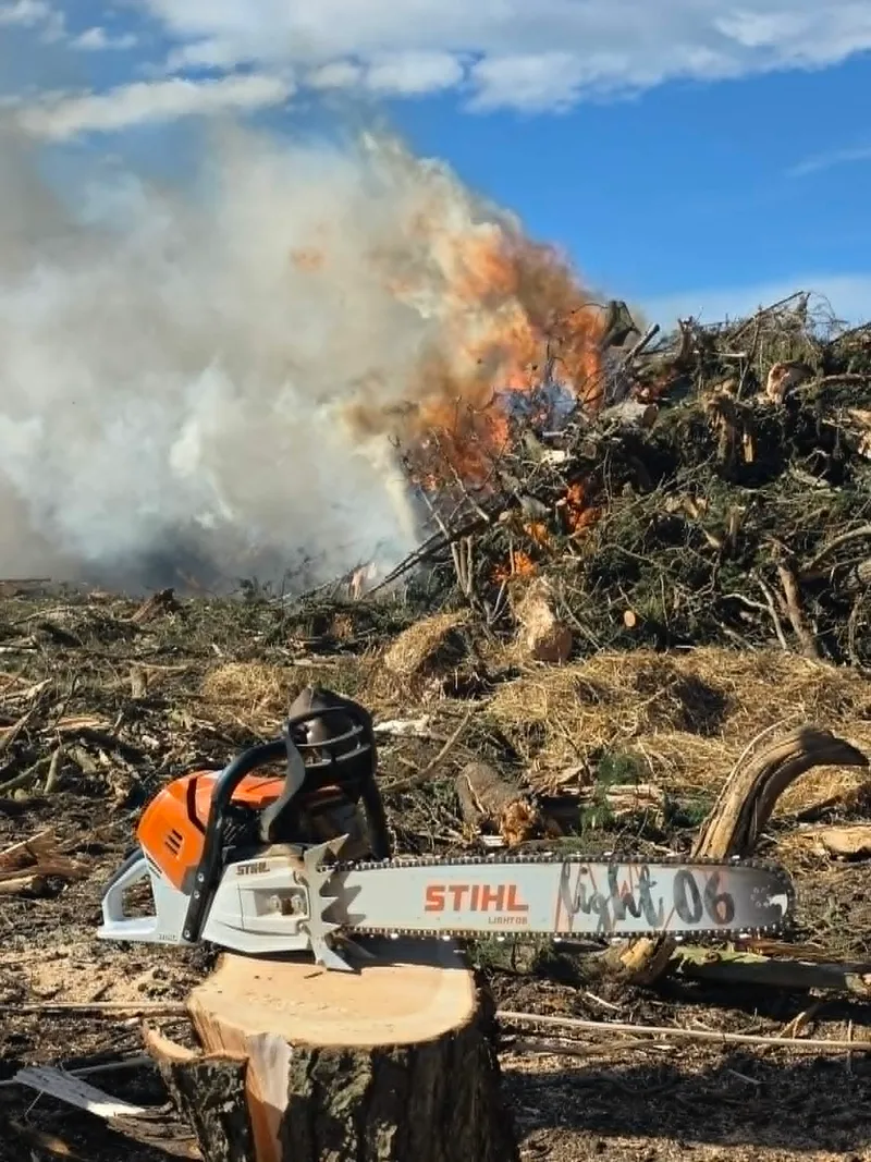Stihl chainsaw beside a burn pile on a rural property